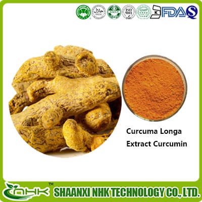 Natural turmeric root extract powder 95_ curcumin